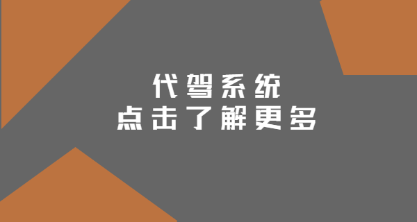 代駕系統介紹