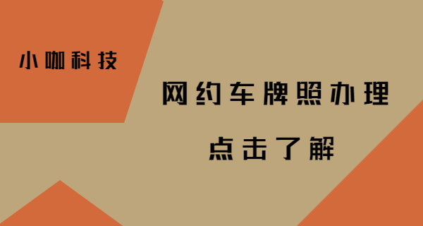 拉薩市首批網約車牌照發放